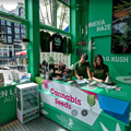 Royal Queen Seeds Amsterdam